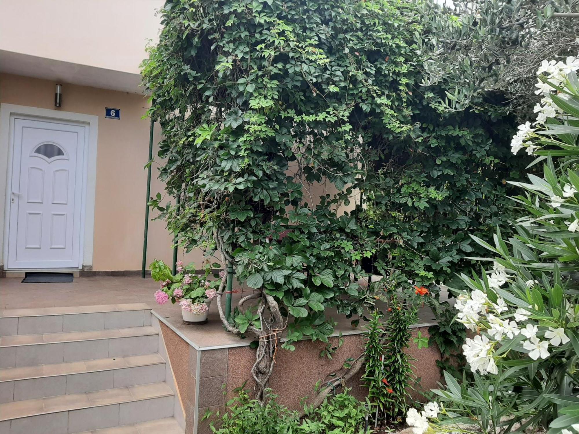 Apartmani Marija Povljana Room photo
