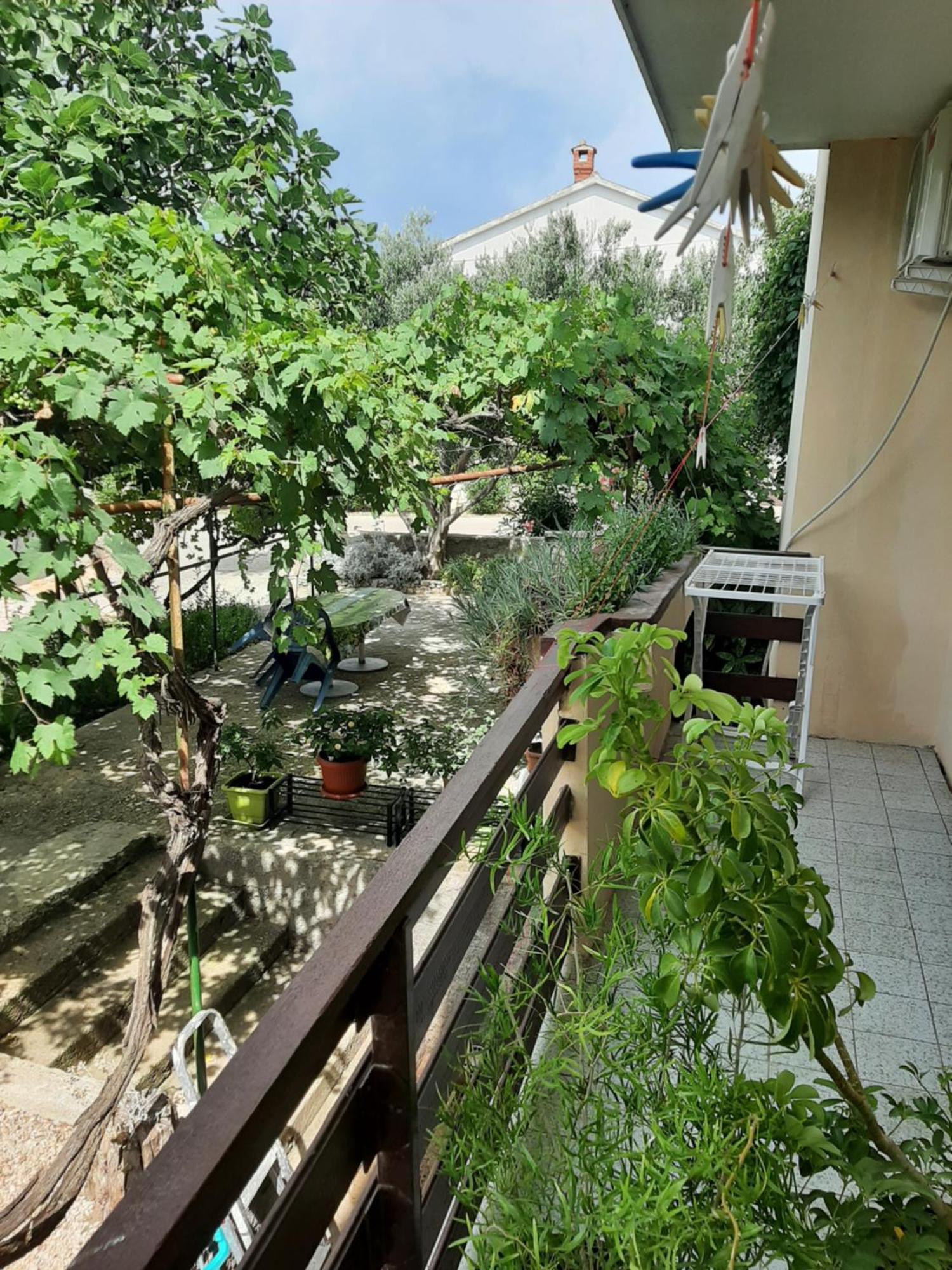 Apartmani Marija Povljana Room photo