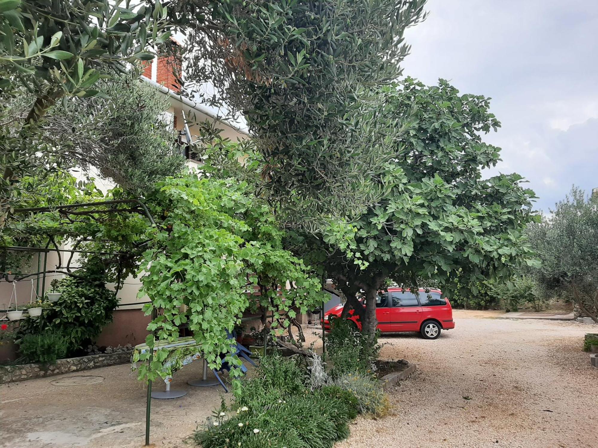 Apartmani Marija Povljana Room photo