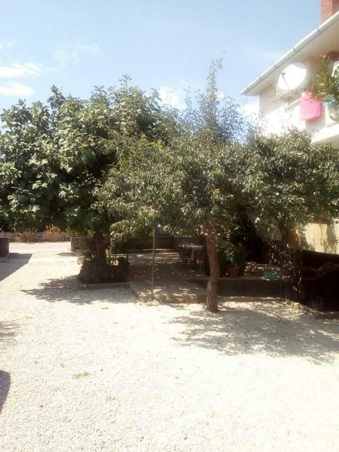 Apartmani Marija Povljana Exterior photo