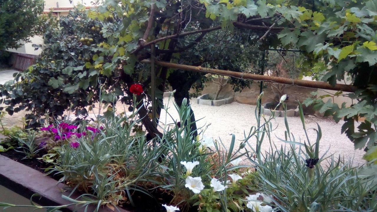 Apartmani Marija Povljana Exterior photo